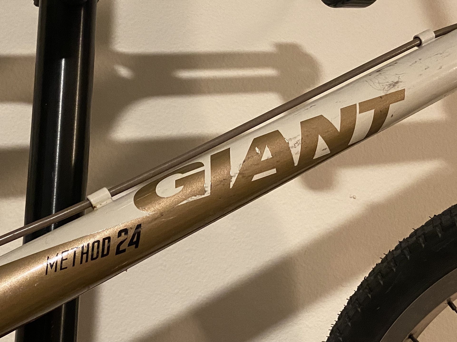 Giant method 24 new arrivals