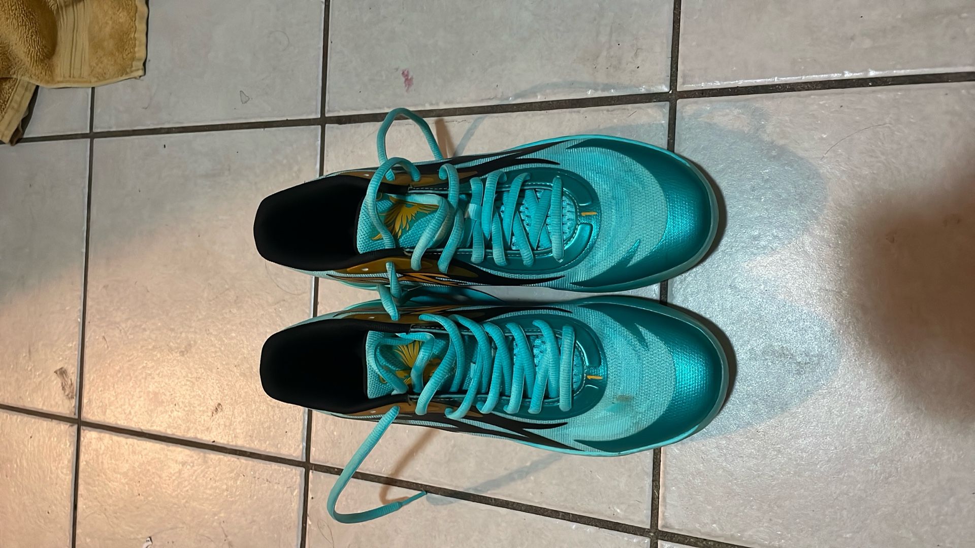 Lamelo basketball shoe