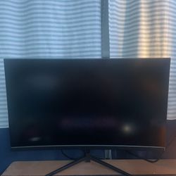  Gaming Monitor 165 hz 27in