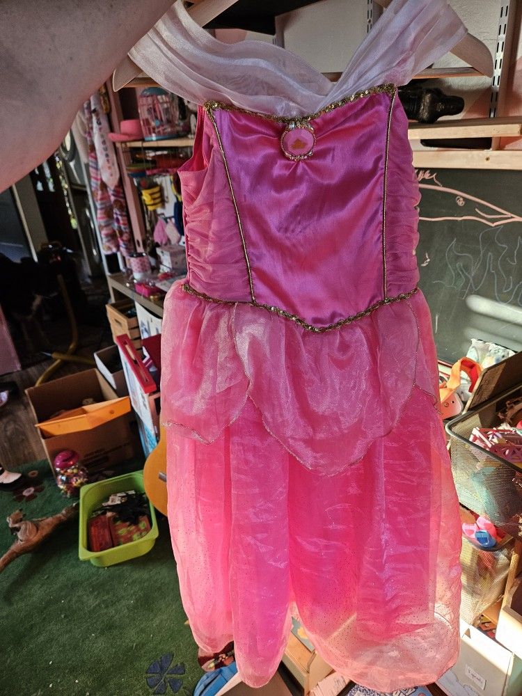Disney Sleeping Beauty Costume