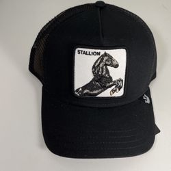 Stallion Goorin bros 