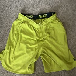 Nike Shorts (large)