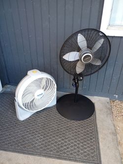 Fan