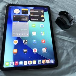 iPad 5 Generation 256 Gb 