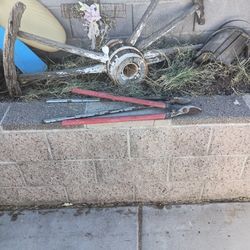 Tree Trimmer 