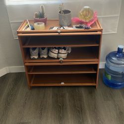 Great Entry Table Shoe Holder