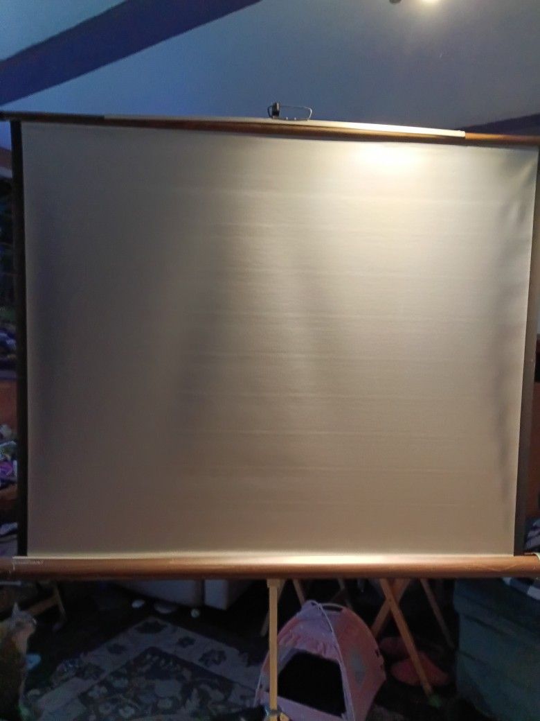 Brilliant Projector Screen With Tripod