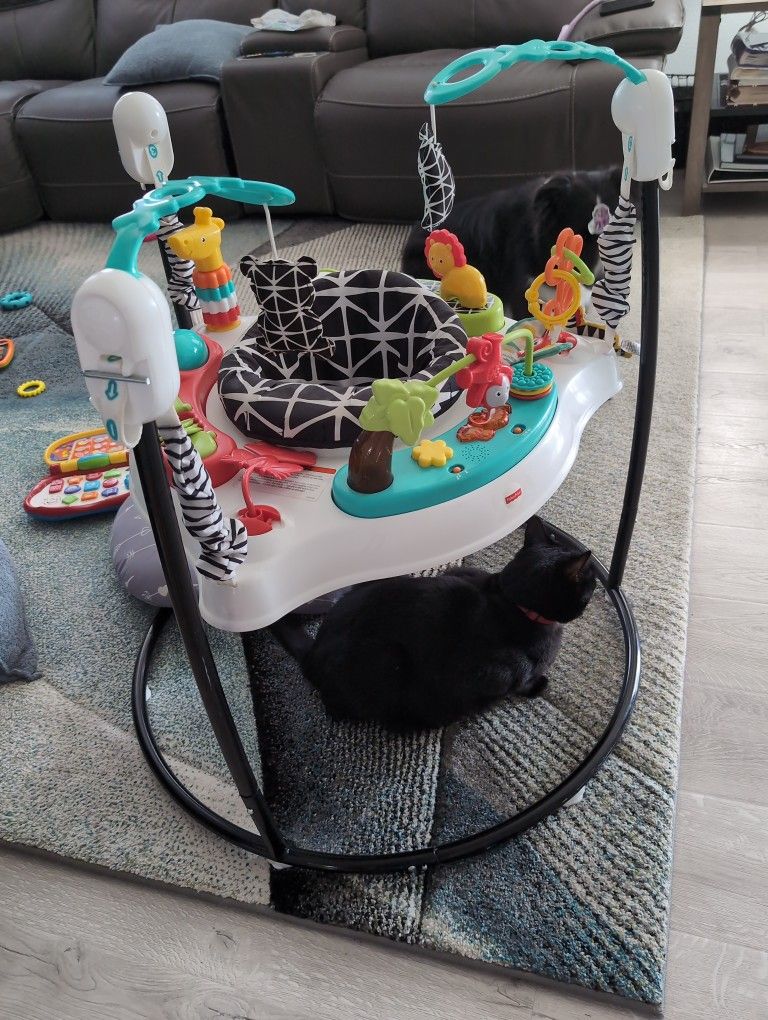 Fisher Price Baby Bouncer/Jumper
