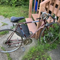 Vintage Sears Bicycle
