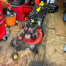 40v Ryobi Trimmer With Batteries 