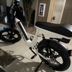 Bandit X-Trail Pro