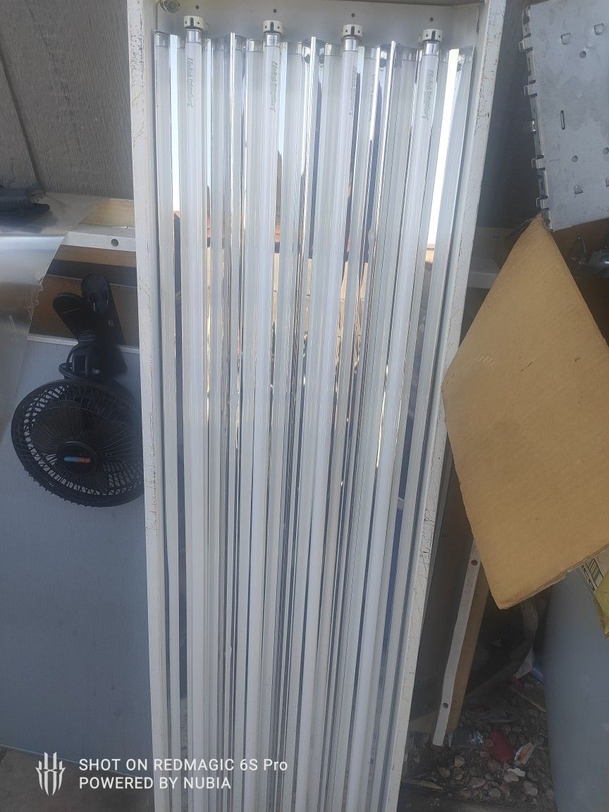Fluorescent Light
