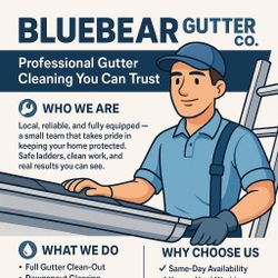 Gutter Cleaning
