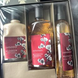 Victoria Secret Perfume/Bath & Body Works