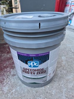 Ppg Paint