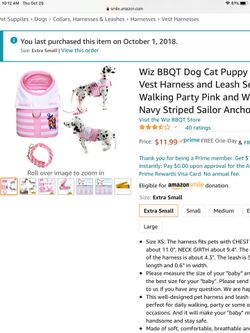 Xtra small leash and harness