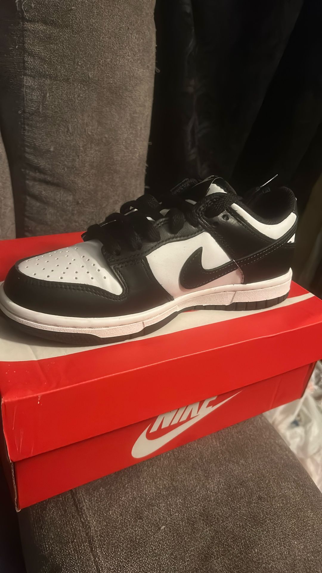 Kid’s Nike Dunk Low(GS)