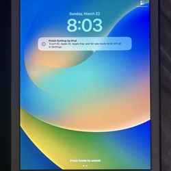 The MM1A2LL/A model is the first-generation 9.7-inch iPad Pro,  It is a Wi-Fi-only model with 256GB of storage, featuring a Ros