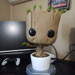 Groot