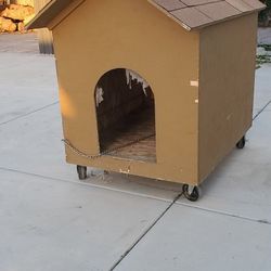 Dog House