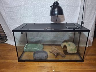 Reptile tank aquarium with accessories