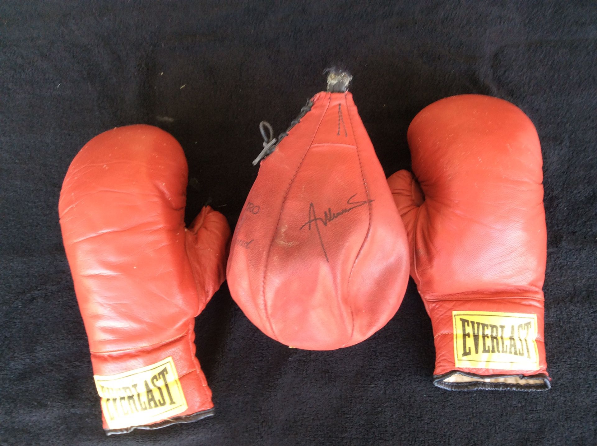 Vintage Boxing Gloves and Speed Bag