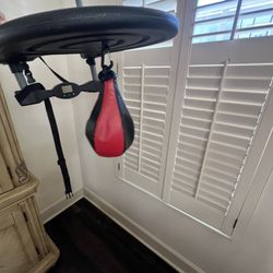 Speed Bag