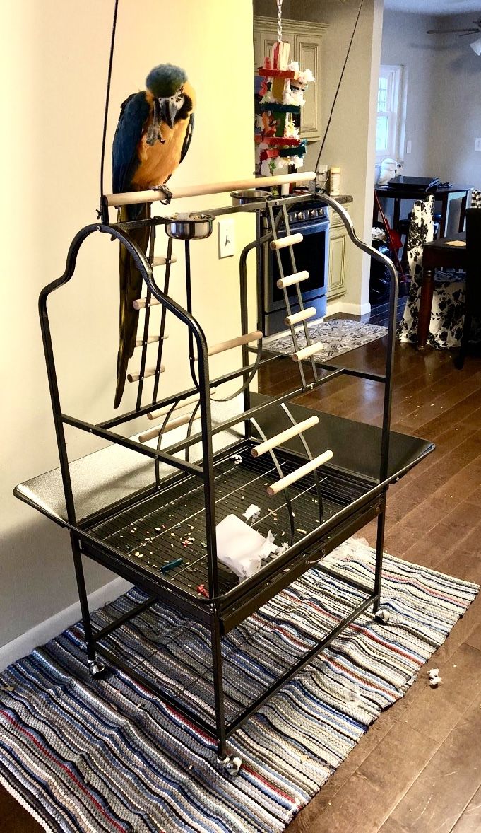 Prevue Bird Play Stand (Large)