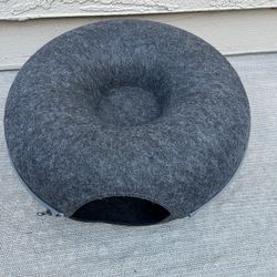 Donut Cat Bad Tunnel 