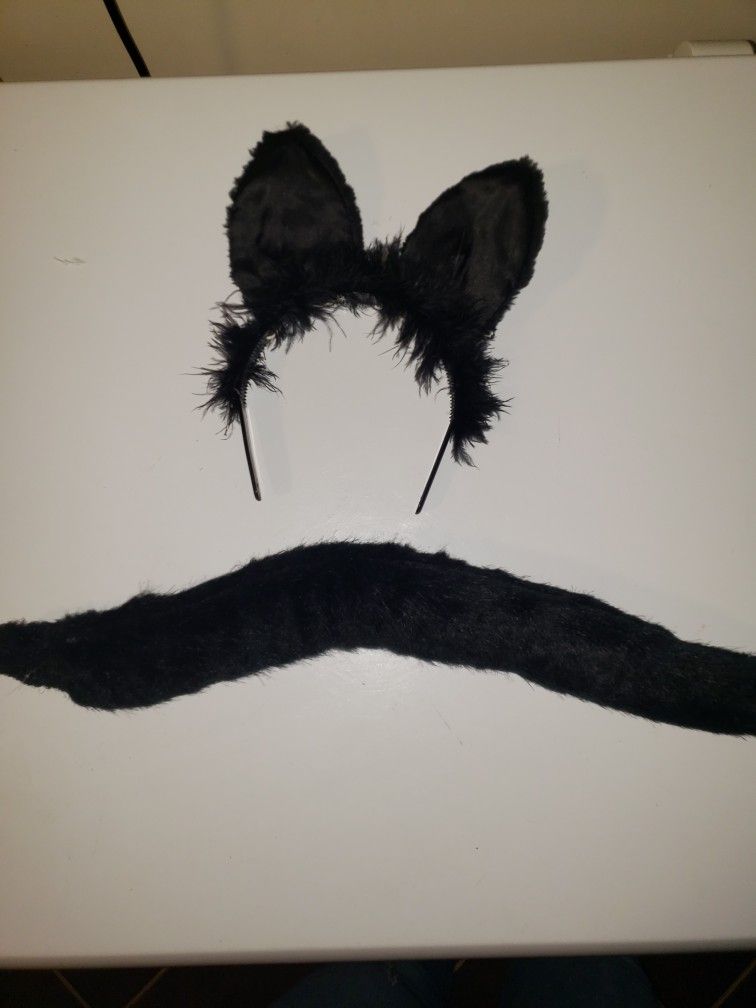 Cat Ears And Tail