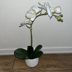 Home Decor Fake Plant 