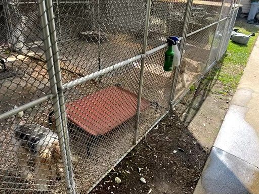 Dog Kennels $5000 OBO