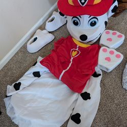 Paw patrol costumes?