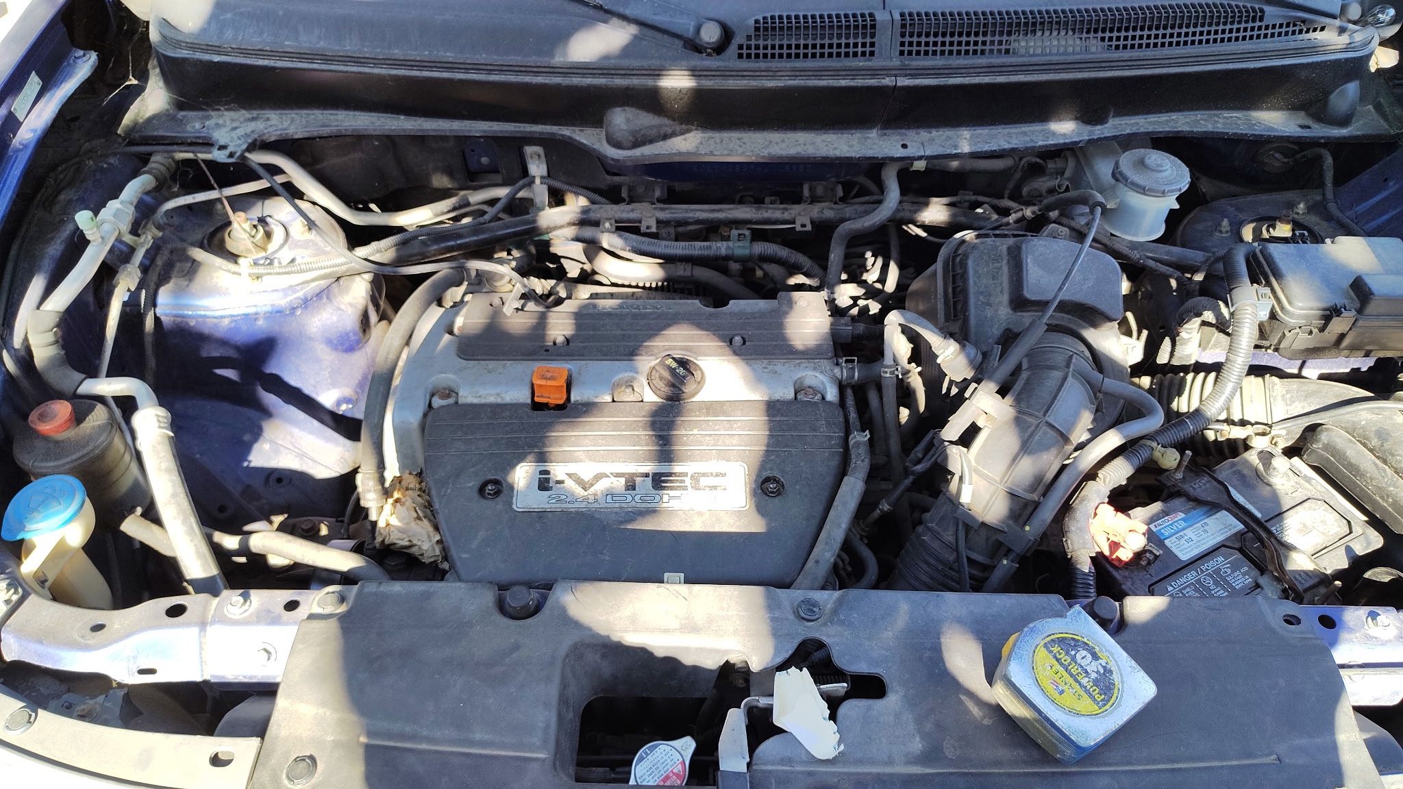 2004 Honda Element