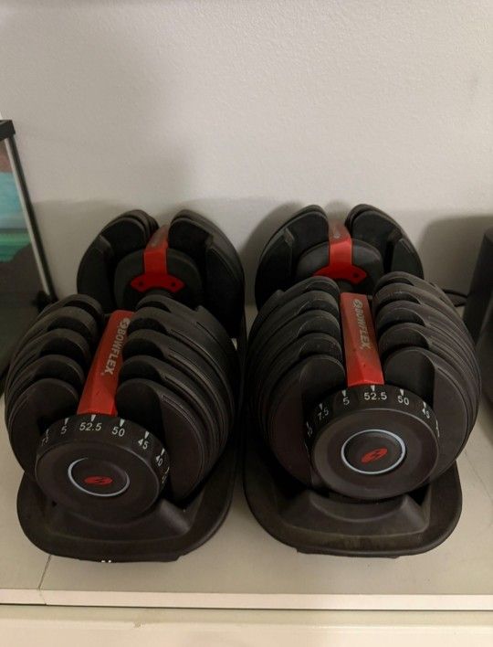 Bowflex Selectec 552 Dumbbells