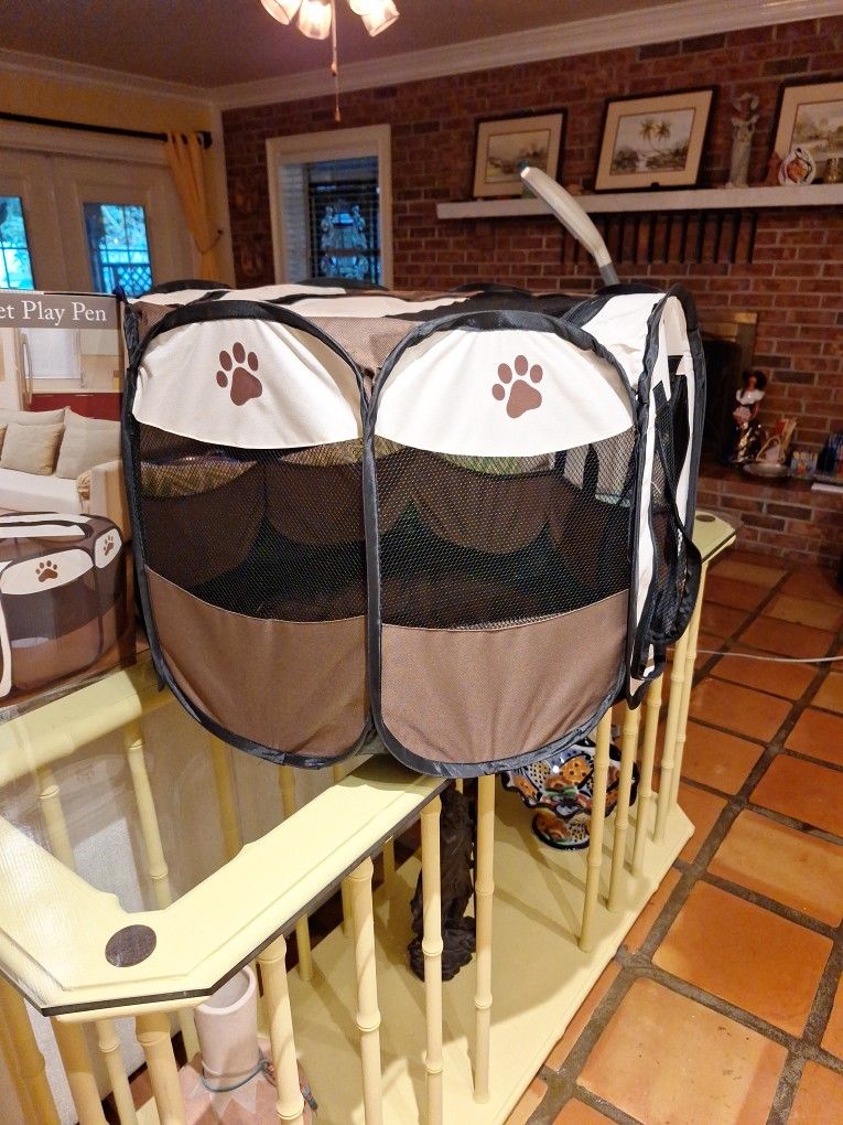 Pet Play Area