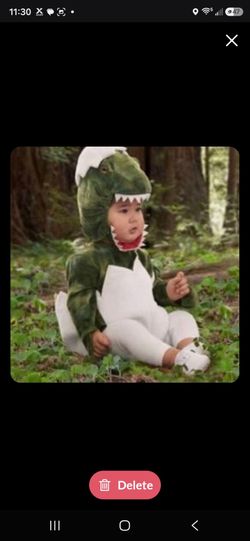Pottery Barn  Dinosaur costume
