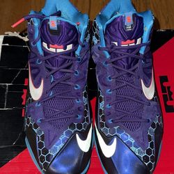 LeBron 11 Summit Lake Hornets (2014) $350 Market 12M