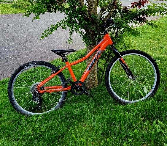 Giant Kids Mountain Bike