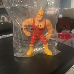 Hulk Hogan Hasbro Mailaway Figure