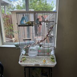 Parakeet Bird Cage 