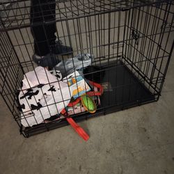 Dog Cage