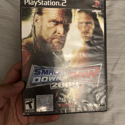 WWE Smack Down Vs Raw 2009 (PS2)