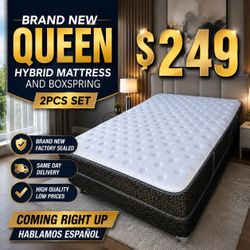 🇺🇸🇺🇸QUEEN HYBRID SET $249