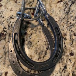 Horse Shoe Puzzle