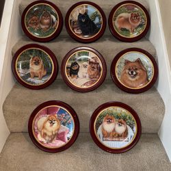 Pomeranian Collector Plates (Danbury Mint) In Wood Frames