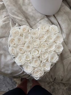 Starry brand Forever roses with white heart shaped case