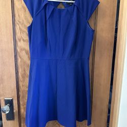 Tahari Dress Size 12P