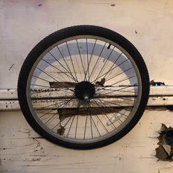 26 inch bike wheel