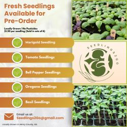 🌱 30-Day Pre-Order: Reserve Your Healthy, Locally Grown Seedlings Today! 🌱